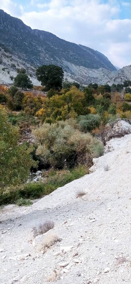 تصاویر پاییزی شهروندخبرنگارها از اقصی نقاط کشور