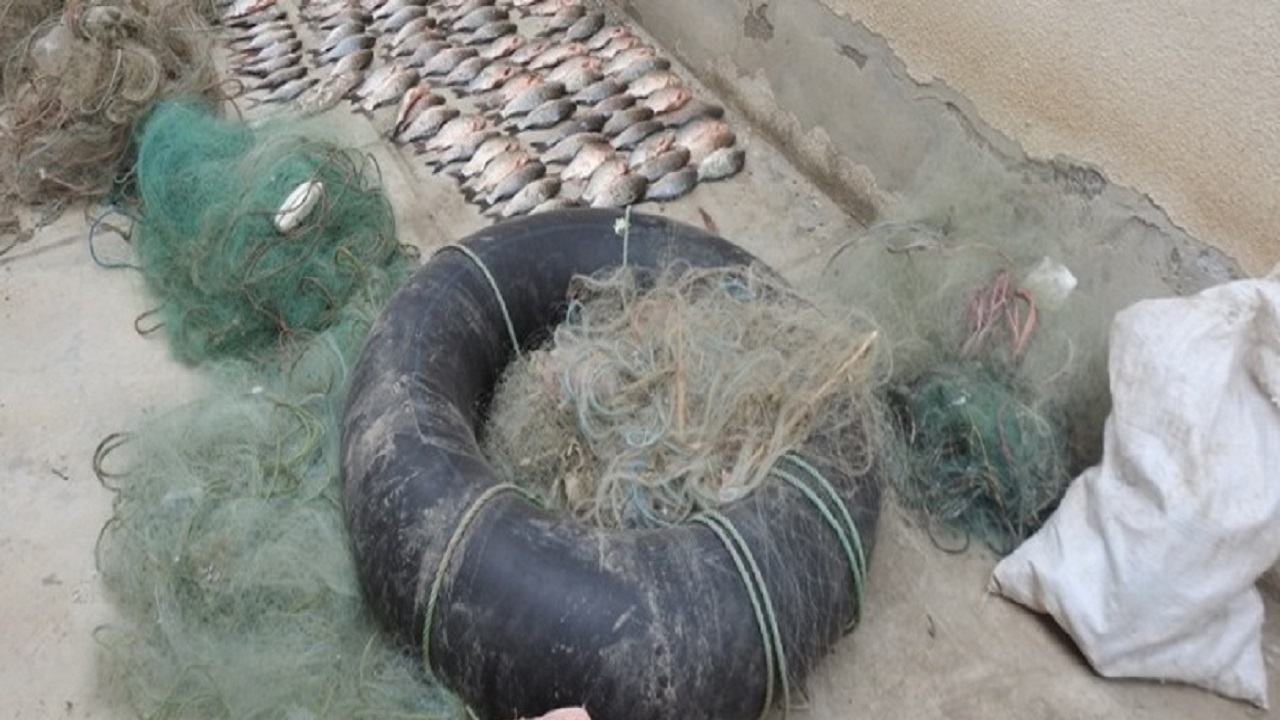 دستگیری صیادان غیرمجاز در شهرستان پارس آباد