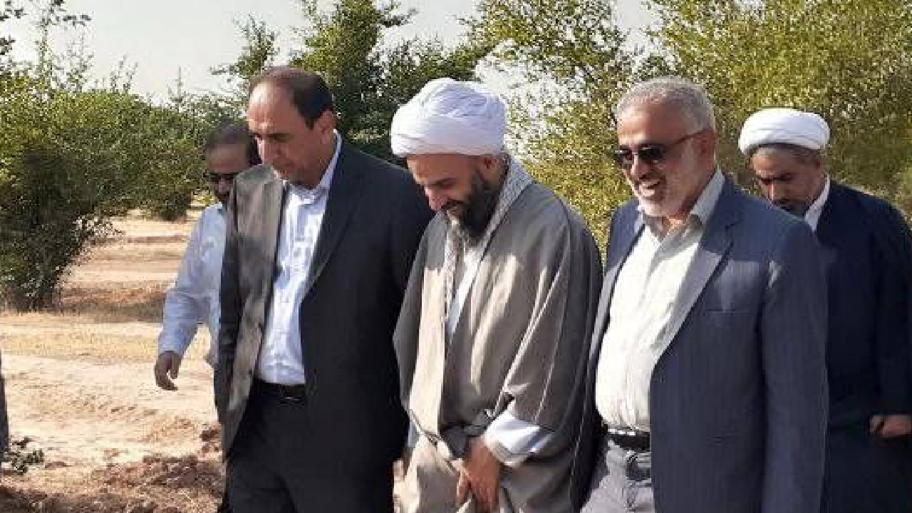 سالانه ۲۵۰ میلیون اصله نهال تولید می‌شود