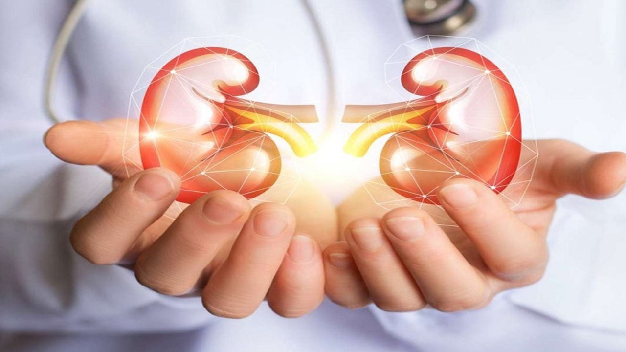 ارائه خدمات سلامت به بیش از هزار و ۹۰۰ بیمار کلیوی در شیراز