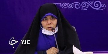 به دنبال تامین منافع مادران ایرانی و فرزندان حاصل از ازدواج آن‌ها با اتباع هستیم/ موارد مورد انتقاد در طرح سازمان ملی اقامت اصلاح می‌شود