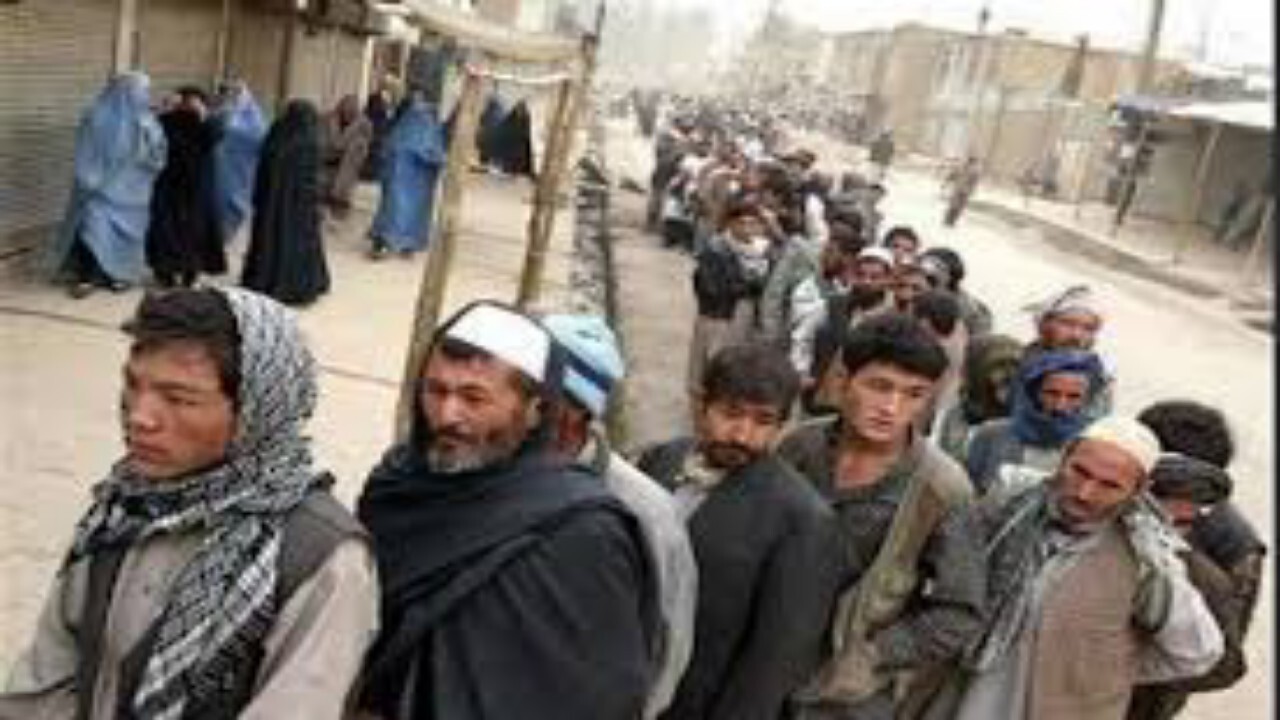 اتباع غیرمجاز شهر ری جمع آوری می شوند + فیلم