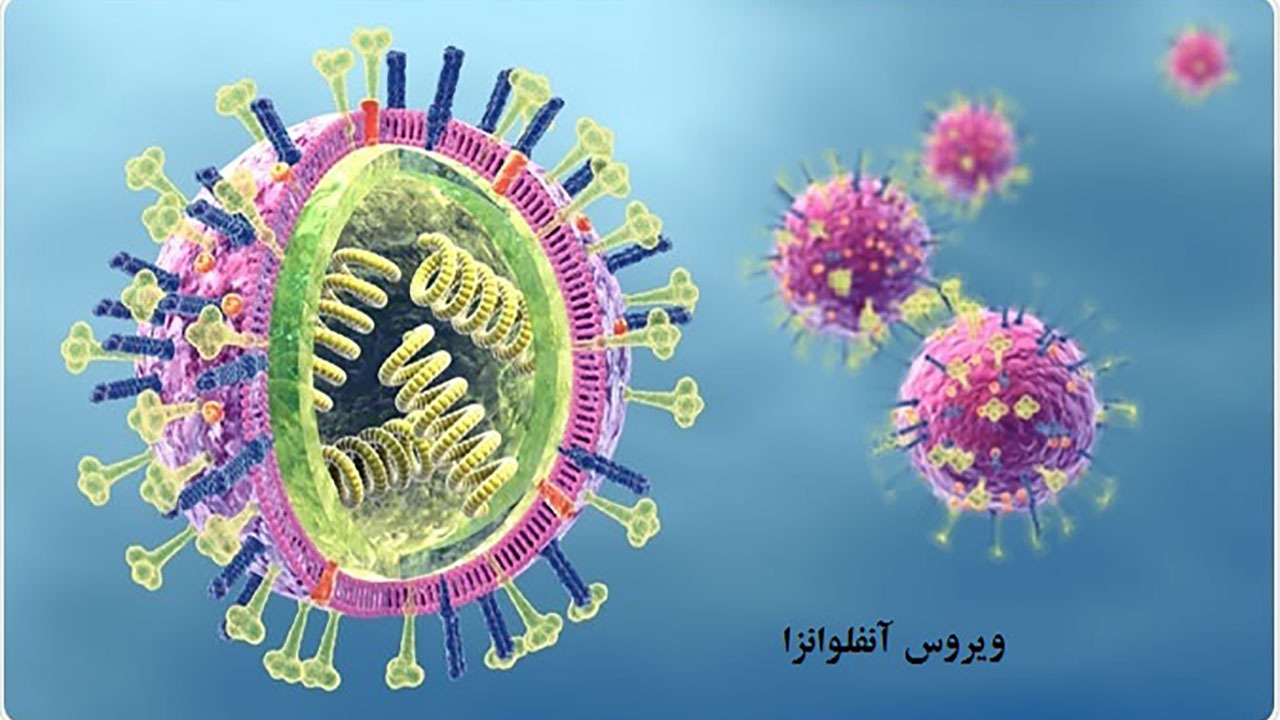 آنفلوانزا در هرمزگان به اوج رسید