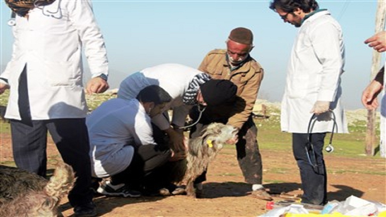 اعزام ۵۲ تیم دامپزشکی به مناطق محروم خوزستان