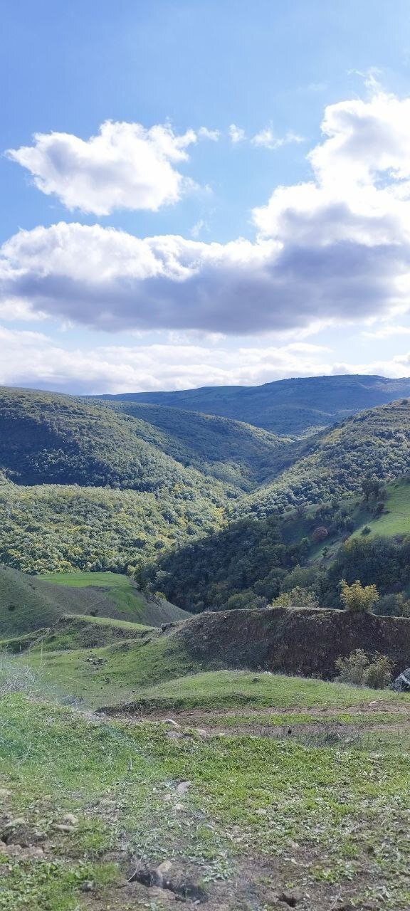 نمایی از طبیعت همیشه سبز روستای اوماسلان + فیلم و تصاویر