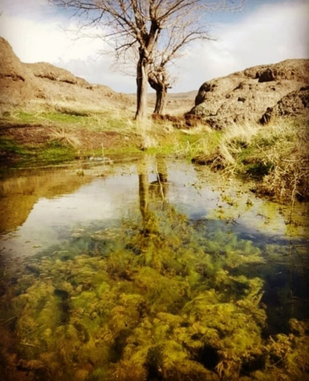 طبیعت پاییزی دهگلان نمایی از طبیعت پاییزی دهگلان + تصاویر