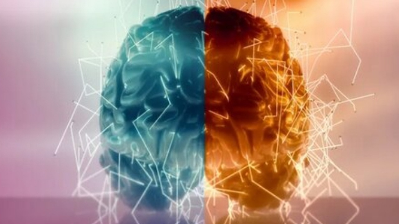 آیا برداشتن نیمی از مغز عملکرد آن را نصف میکند؟