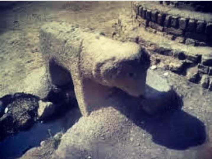 تصاویری از قوچ&zwnj;ها و شیر&zwnj;های سنگی روستای قراجه فیض الله