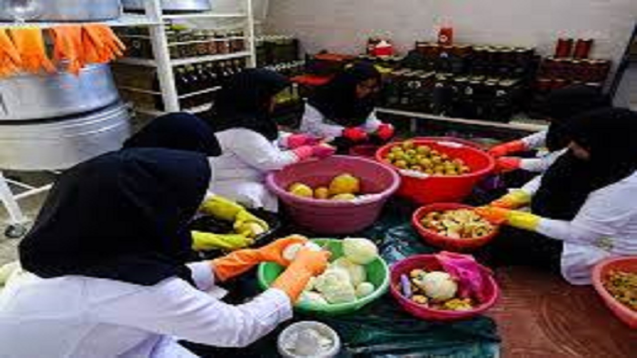 بهره‌ برداری از سه واحد جدید صنایع تبدیلی و غذایی درزاهدان