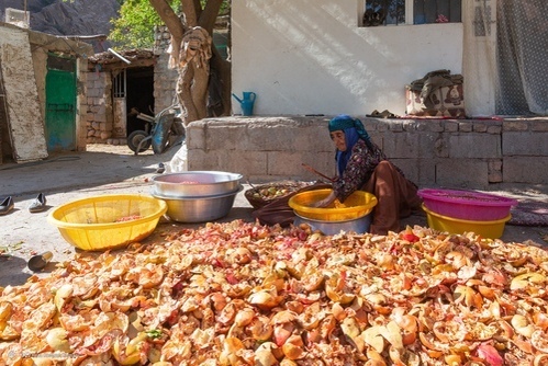 فرایند رب گیری