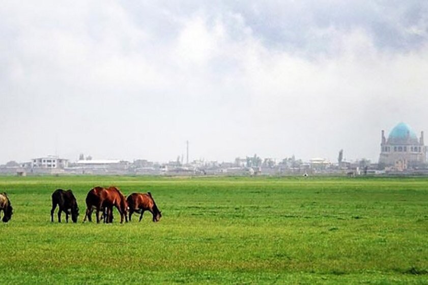 چمن محوطه گنبد سلطانیه