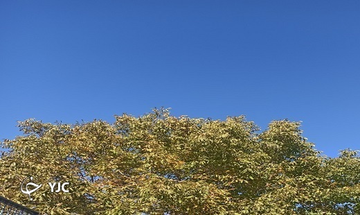 تصاویری از طبیعت پاییزی گلستان