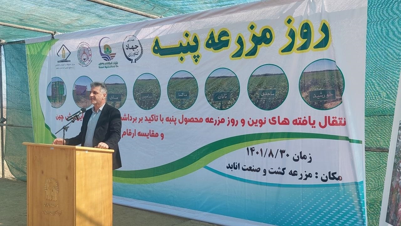 سازمان پنبه در وزارت جهاد کشاورزی احیا می‌شود