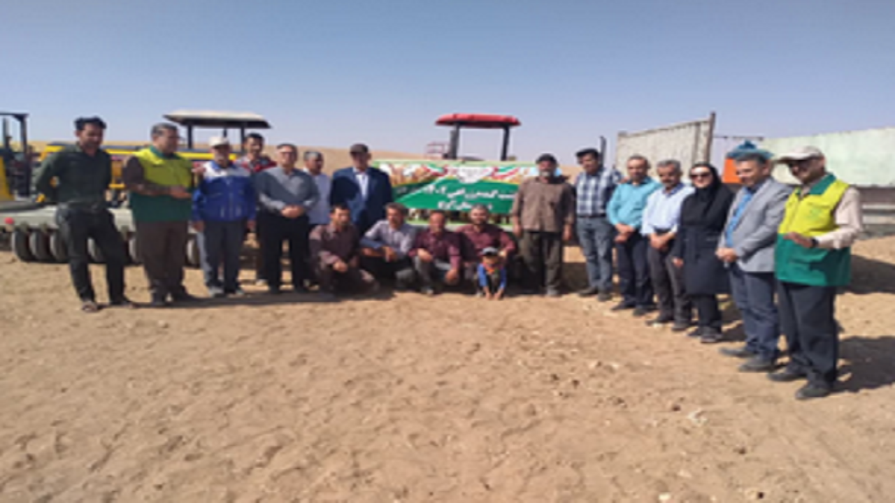 ایجاد ۴ سایت الگویی ترویجی گندم دیم در شهرستان آوج