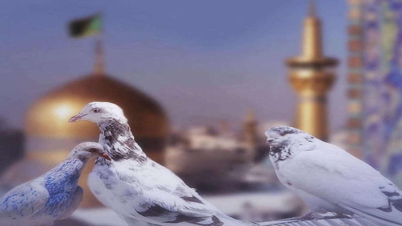 راه را نشانم ده و دستان خالی‌ام را بگیر