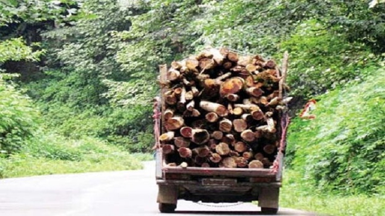 کشف ۸۹ تُن چوب و زغال جنگلی قاچاق در اصفهان