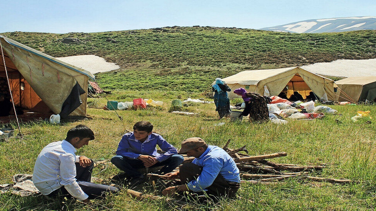 آغاز طرح بهبود راندمان تولیدات دام عشایری در قزوین