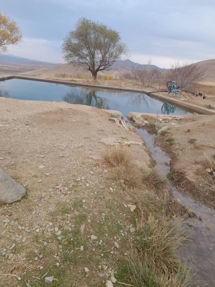 از