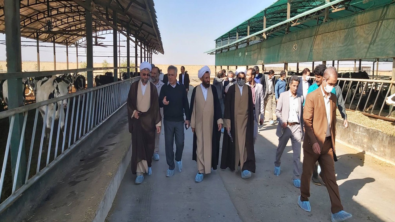 بیمه خسارت سرمازدگی و سیل دوبرابر خواهد شد