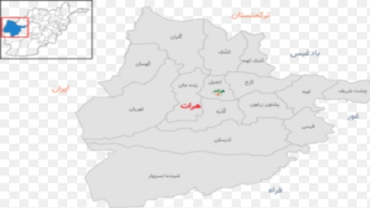 عاملان حمله بر مجیب‌الرحمان انصاری بازداشت شدند