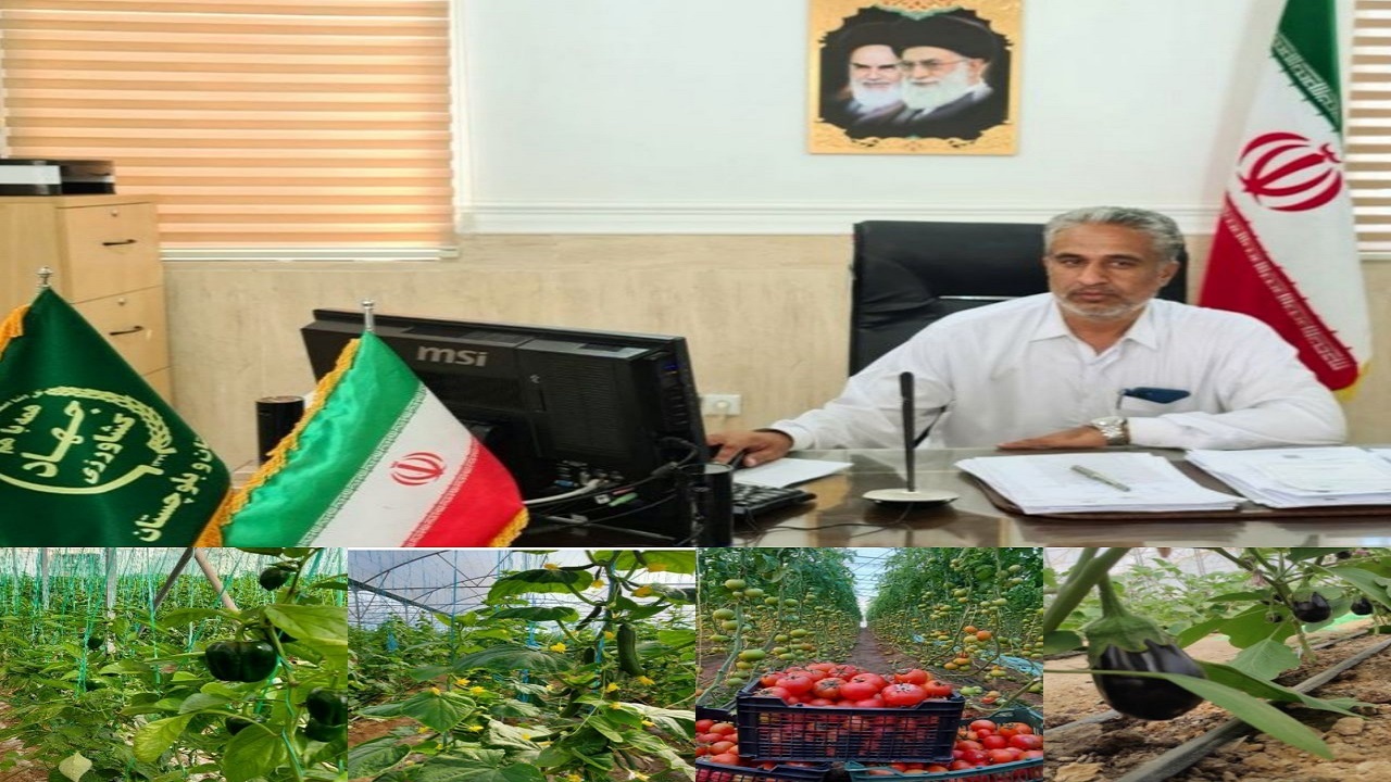 احداث ۳۷ هکتار گلخانه جدید در شهرستان سیب و سوران