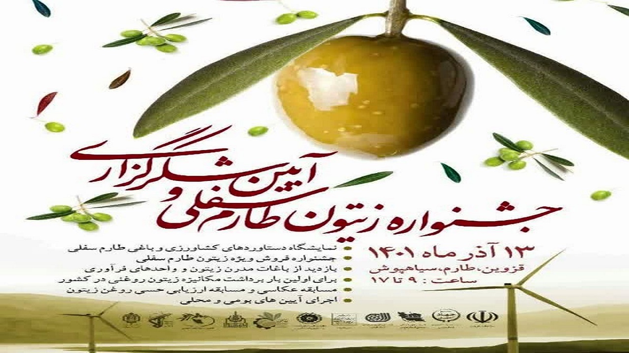 جشنواره زیتون در طارم سفلی برگزار می‌شود