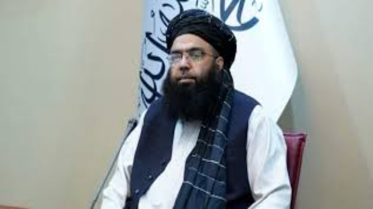 طالبان حمله انتحاری به دفتر گلبدین حکمتیار را محکوم کردند