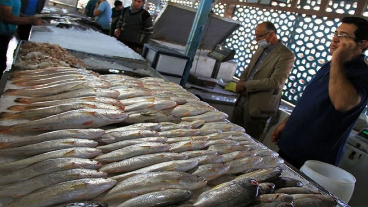آغاز فاز نخست پایش بیماری‌های ویروسی در مزارع پرورش ماهیان سردآبی خوزستان