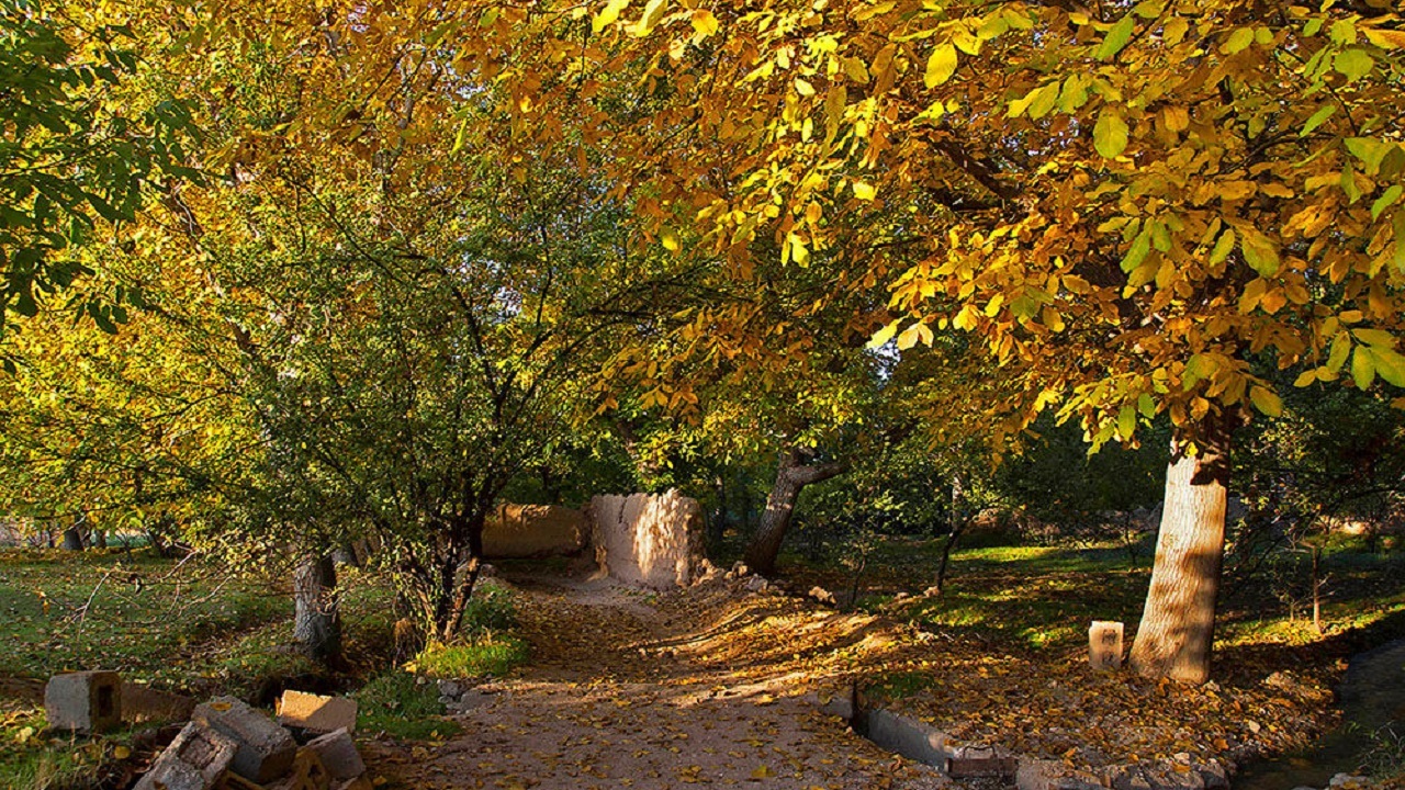 فیلمی از طبیعت پاییزی باغ‌های گردو در روستای جغدان