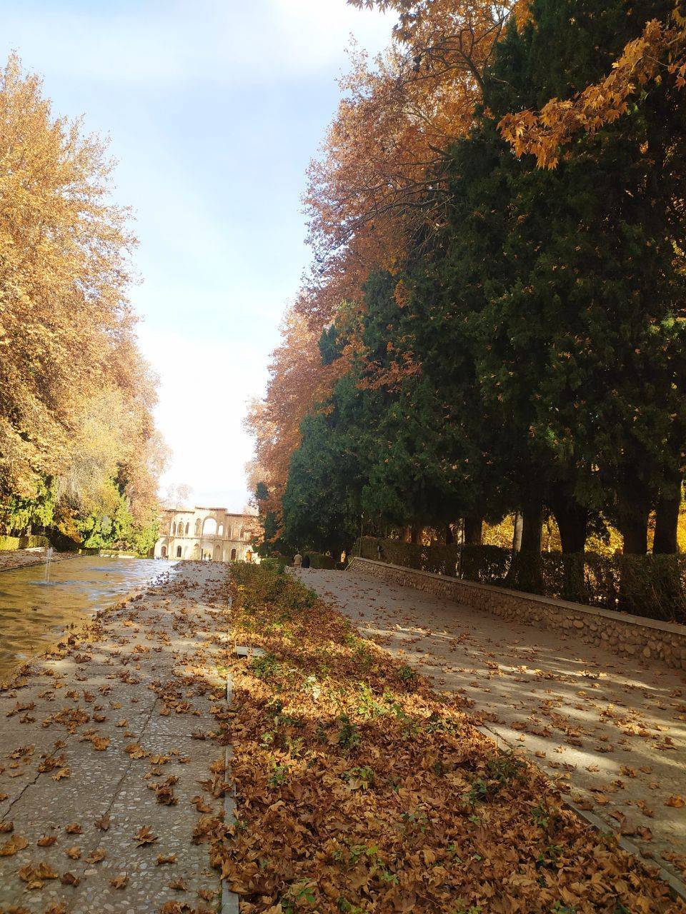 نمایی از باغ شاهزاده ماهان کرمان به وقت پاییز + تصاویر