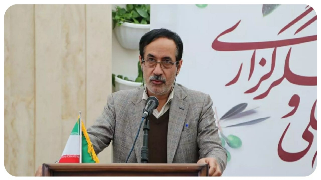 تشکل‌ها و سمن‌های زیتون در قزوین تقویت شوند