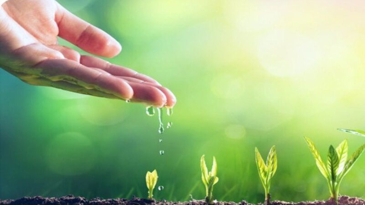 صدور ۶ نسخه الکترونیکی گیاه پزشکی در فارس