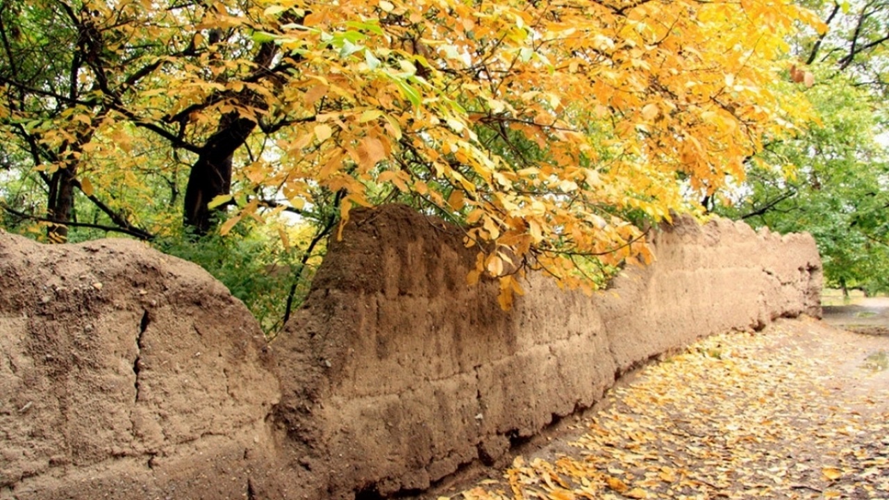 نمایی از طبیعت رنگارنگ پاییزی روستای نوایگان + فیلم