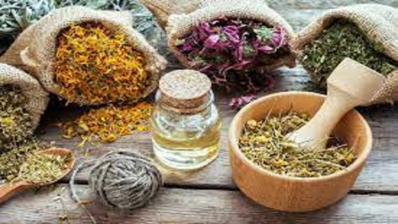 حمایت و تشویق فعالان طب ایرانی کمک کننده گسترش و توسعه این مکتب طبی