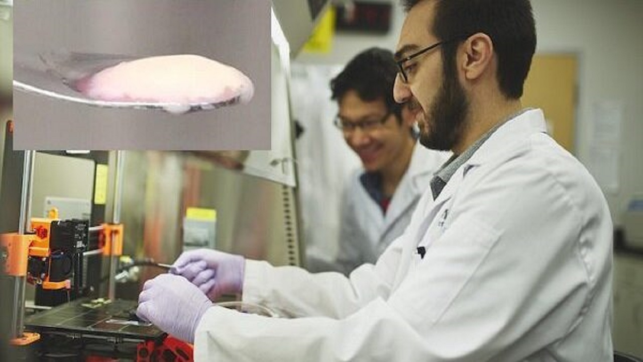استفاده از توان علمی دانشجویان پسا دکترا برای حل مشکلات جامعه