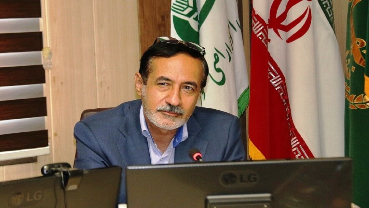 صدور سند مالکیت تک برگ برای ۲ میلیون هکتار از اراضی کشاورزی در کشور