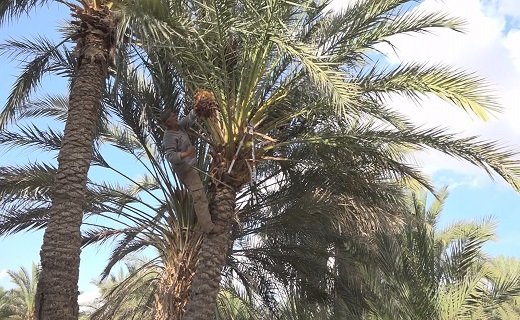 زکات، دستوری از جنس برکت