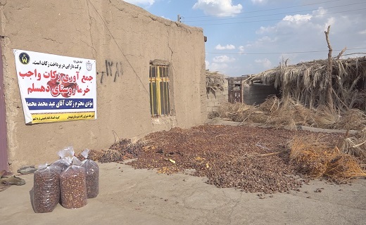 پرداخت زکات به شکرانه برداشت محصول