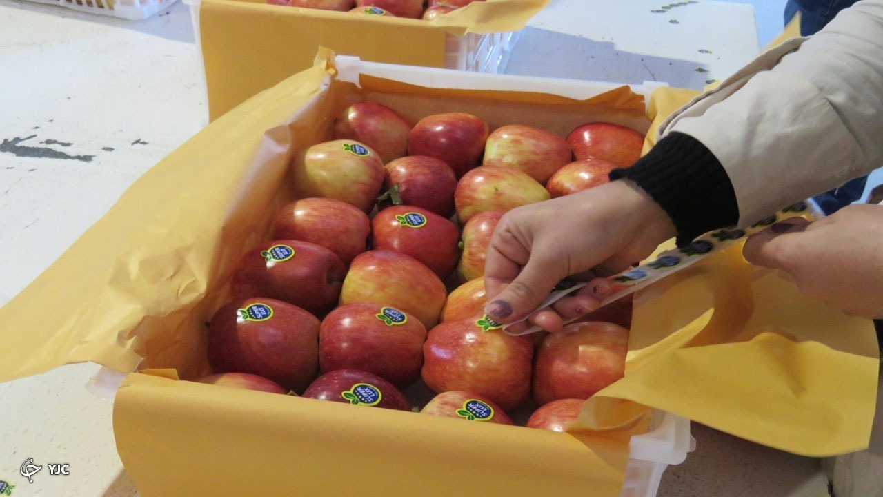 آذربایجان غربی نیازمند ۱۰۰ واحد سورت و بسته بندی