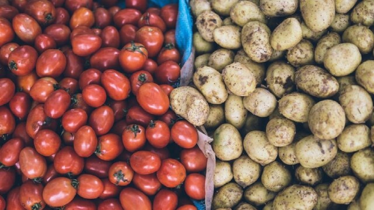 تولید داروی سرطان از گوجه و سیب زمینی