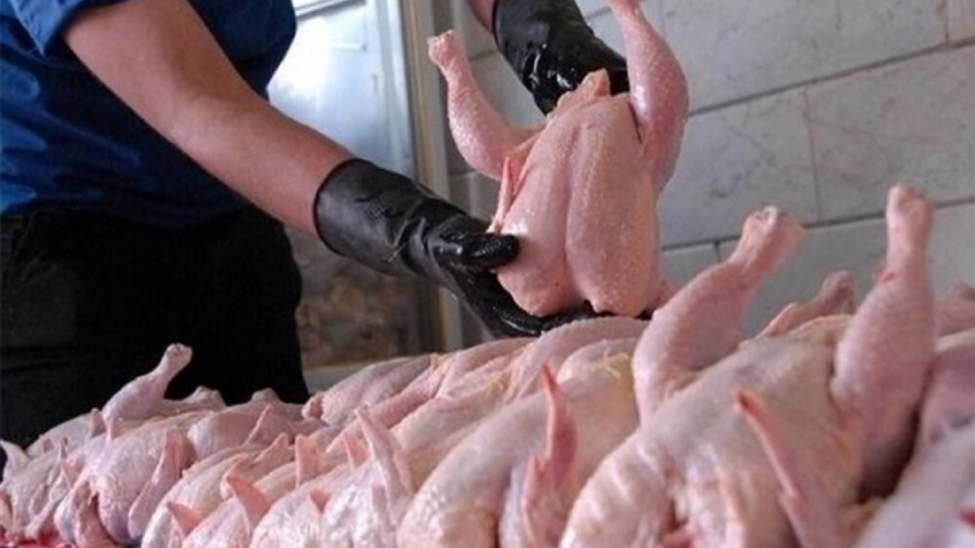 قیمت مرغ در میادین میوه و تره بار چقدر است؟ + فیلم
