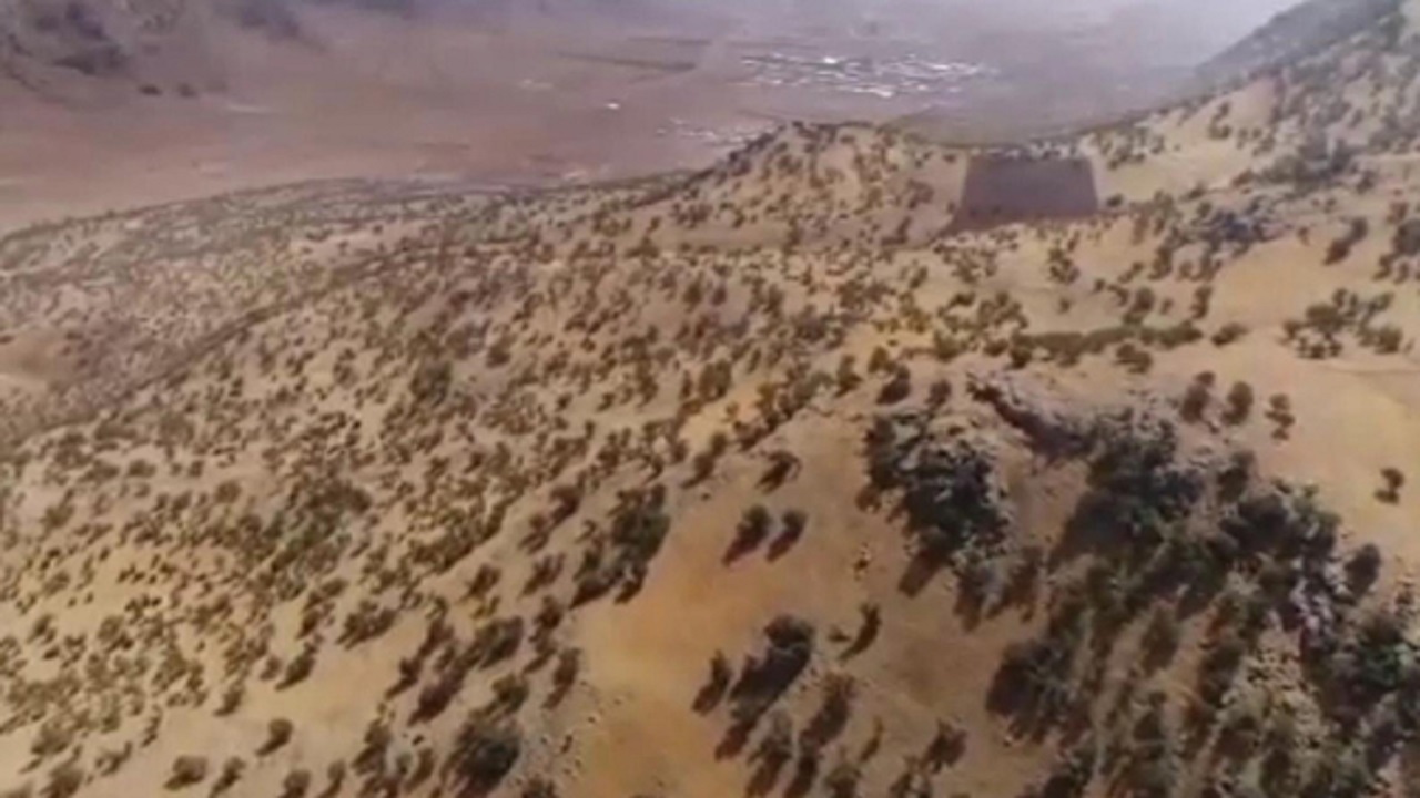اختصاص ۲۰ میلیارد برای مبارزه با خشکیدگی درختان بلوط در لرستان