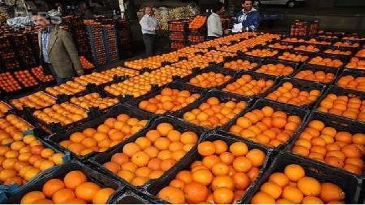 پرداخت تسهیلات ۴۰۰ میلیارد ریالی به سورتینگ داران ساروی