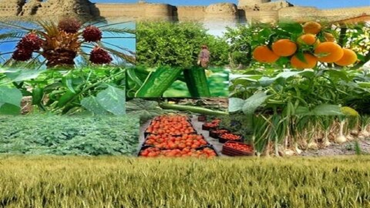 ۲ هزار میلیارد تومان اعتبار در سفر رییس جمهور برای بخش کشاورزی همدان مصوب شد