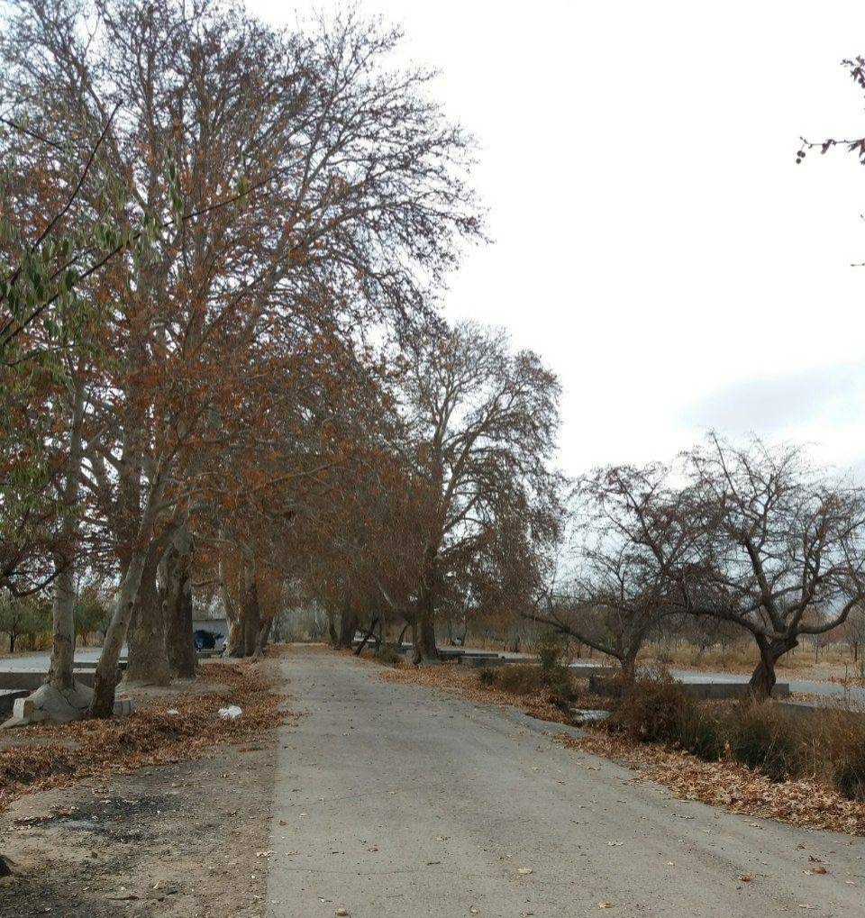 امیرآباد شاهرود