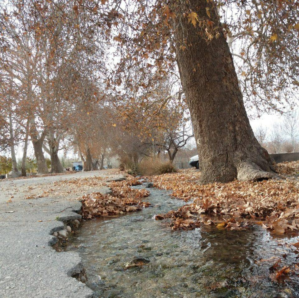 امیرآباد شاهرود