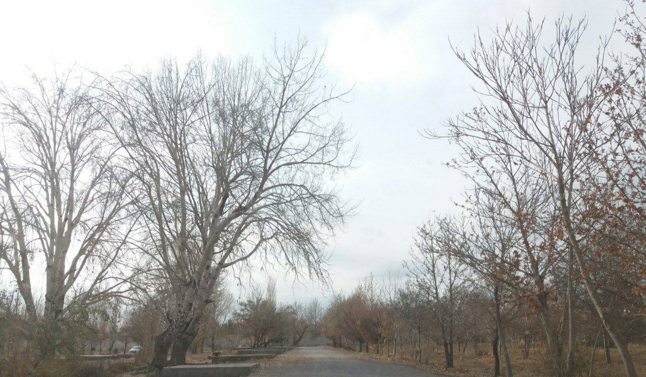 امیرآباد شاهرود