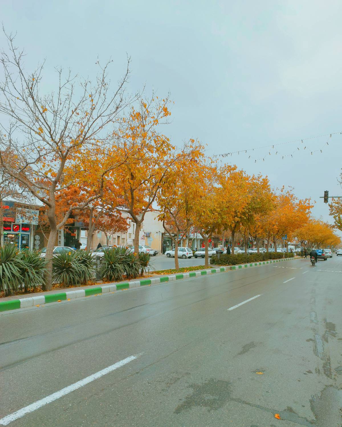 مشهد