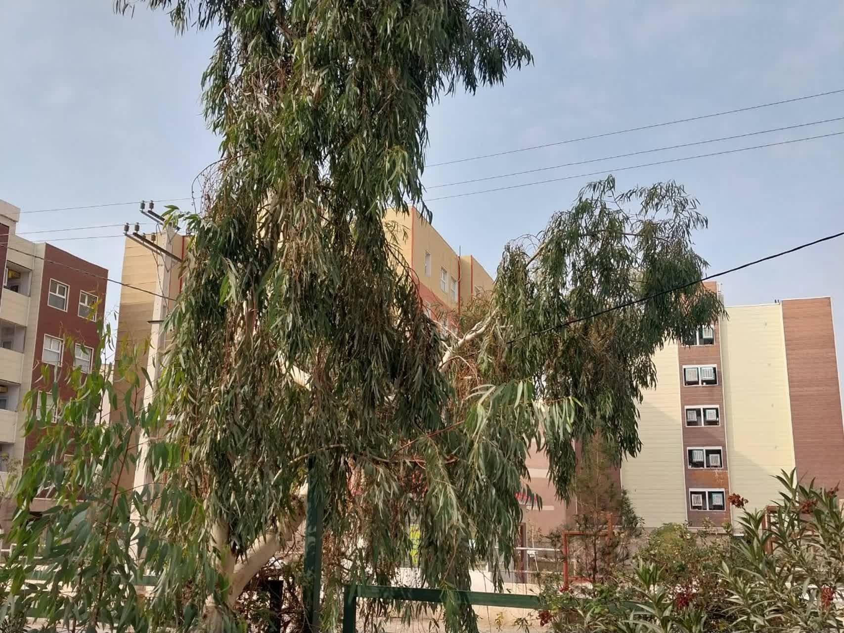 کابل برق