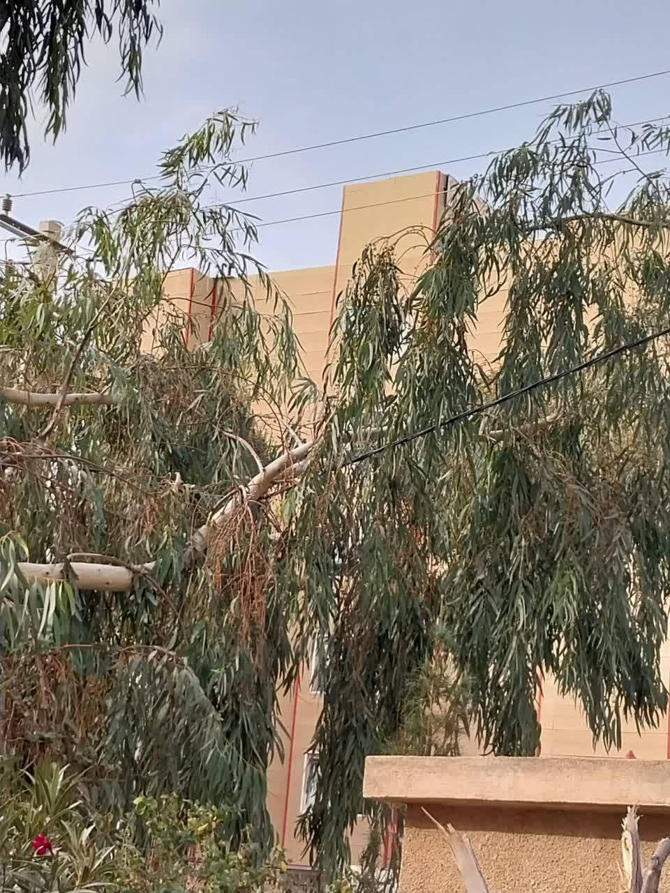 قم